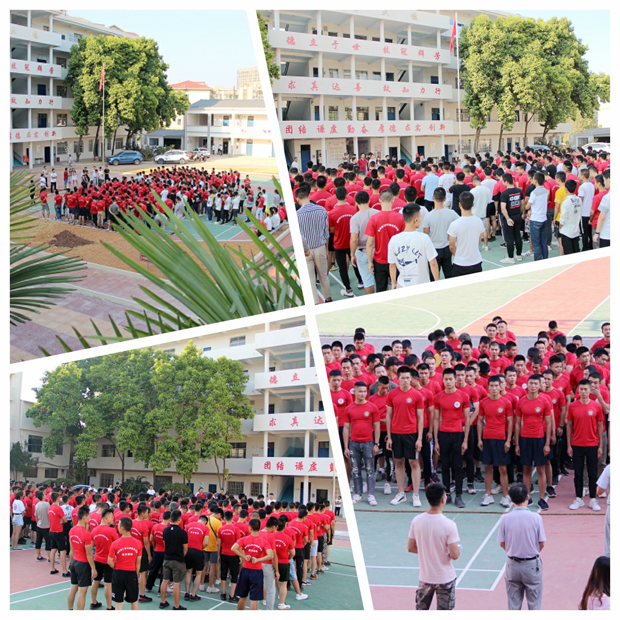 赣州新江南学员拔河比赛p3.jpg